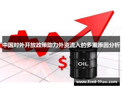中国对外开放政策助力外资流入的多重原因分析