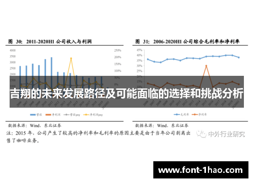 吉翔的未来发展路径及可能面临的选择和挑战分析