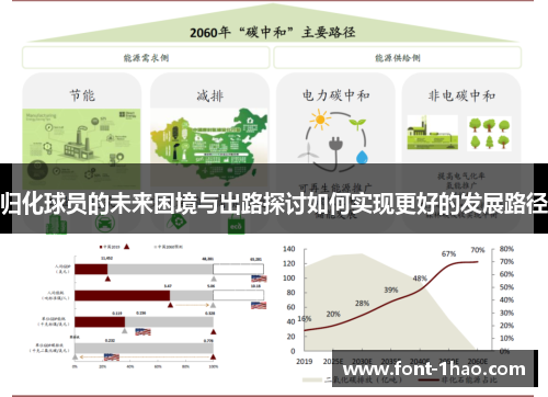 归化球员的未来困境与出路探讨如何实现更好的发展路径