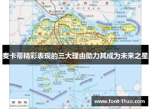 麦卡蒂精彩表现的三大理由助力其成为未来之星